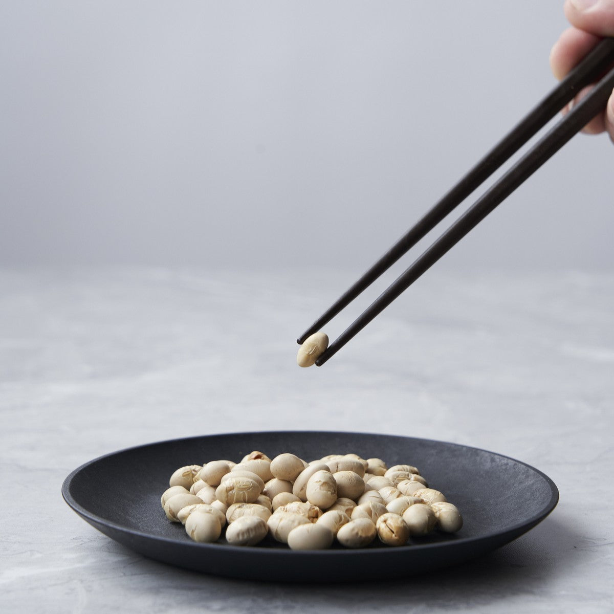 レトワ コレクション  箸　ダークブラウン